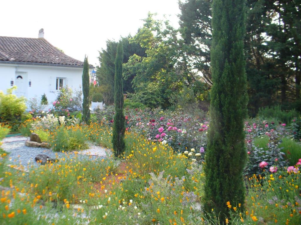 Bed and Breakfast Chambre D'Hotes Dyrslot Saint-Denis-de-Pile Zewnętrze zdjęcie